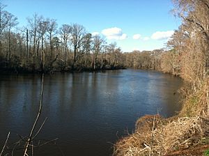 Nottoway River.jpg