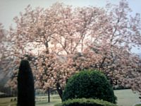 Park Abbottabad