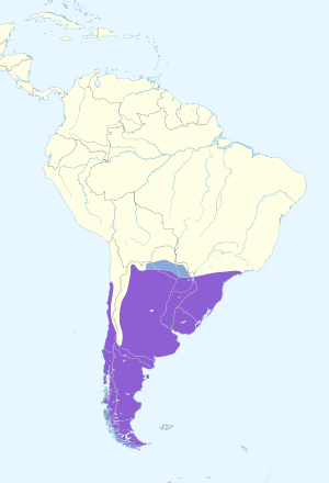 Phalcoboenus chimango map.svg