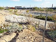 Phoenix-Joint Head Dam-Salt River