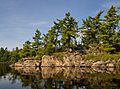 Rainy Lake Shoreline