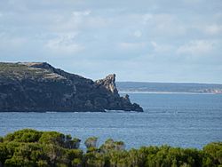 Rhino Head, Stenhouse Bay