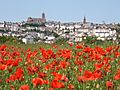 Rodez-coquelicots480