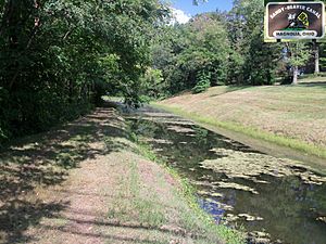 Sandy Beaver Canal Magnolia001