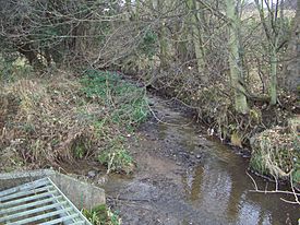 Shire Brook