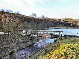 Strinesdale reservoir-geograph-2251124.jpg