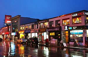 Toronto koreatown 2009x