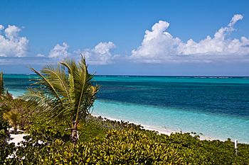 Turtle Cove Providenciales Beach.jpg