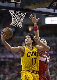 Varejao 2014