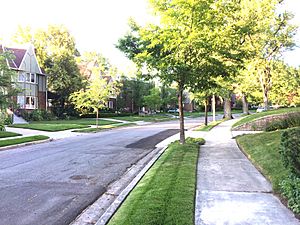 Yalecrest Princeton Streetscape