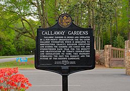 20-01-275-callaway