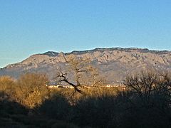 ABQSandiaMountain