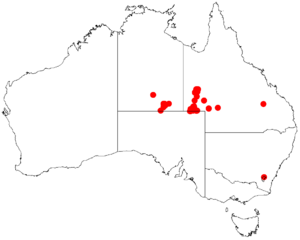 Acacia peuceDistMap687.png