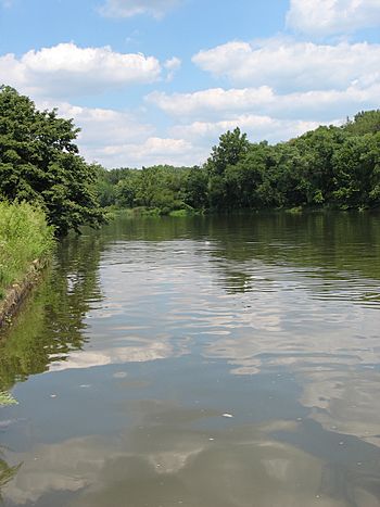 Anacostia River.jpg