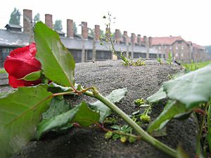 Auschwitz-hope after terror