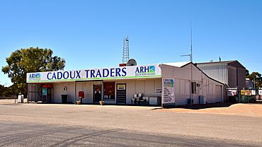 Cadoux Traders, 2018 (01).jpg