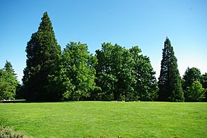 Council Crest Park Portland1