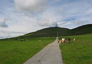 Craigowl hill