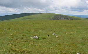 Cramalt Craig view to Broad Law