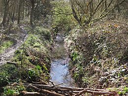 Crofton Wood, Kyd Brook