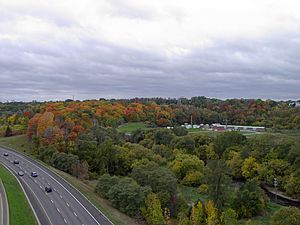 Crothers Woods Toronto.jpg