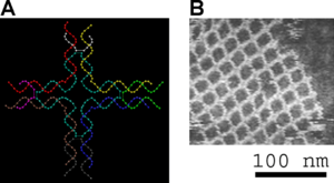 DNA nanostructures