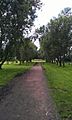 Flag Fen Roman Road