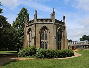 Gothic library staunton park