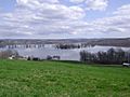 Hampton Marsh April