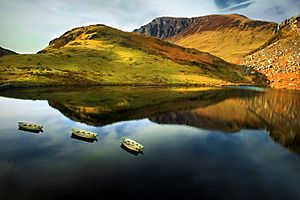 Llyn y Dywarchen