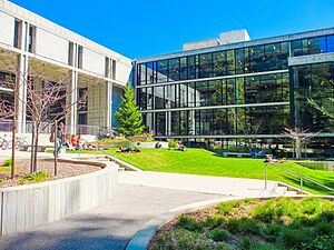 McHenry Library UCSC