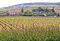 Meursault,Burgundy