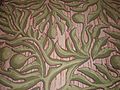 Moana-Hotel-breadfruit-pattern-carpet