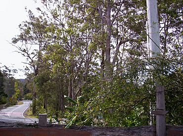 Mount-Nebo-Queensland-Australia.JPG