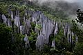 Mulu Pinnacles