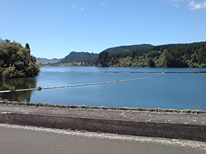 Ohakuri Dam Ohakuri Lake.jpg