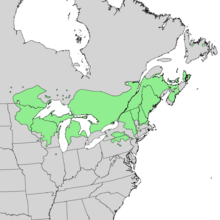 Pinus resinosa range map 1.png