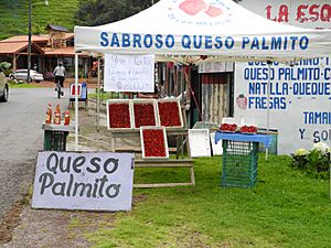 Queso Palmito y Fresas