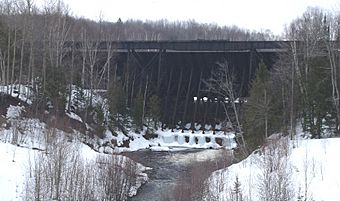 Redridge Steel Dam from Downstream.jpg