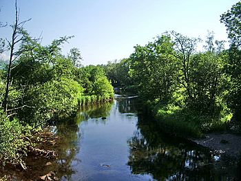 River Cocker - geograph.org.uk - 461368.jpg