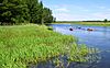 Schoolcraft State Park kayakers.jpg