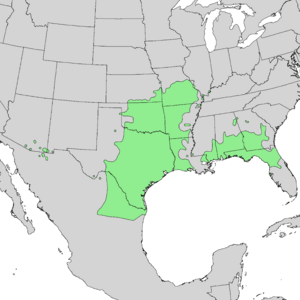 Sideroxylon lanuginosum range map 2.png