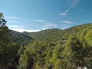 Sierra de Burete