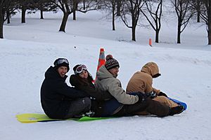 Sledding on Mount Royal