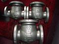 Swing Check valves