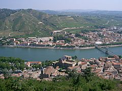 Tournon-sur-Rhône et son vignoble