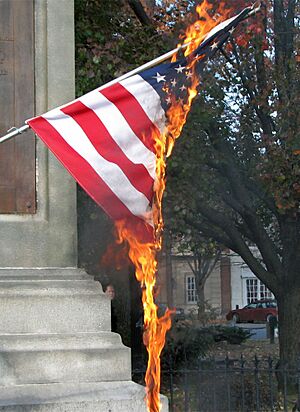 US Flag Burn