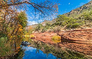 Vibrant Fall Colors Along Oak Creek In Sedona