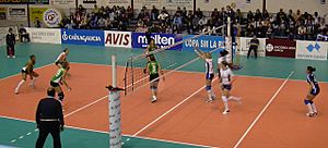 Voleibol Femenino