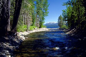 Ward Creek mouth Lake Tahoe.jpg